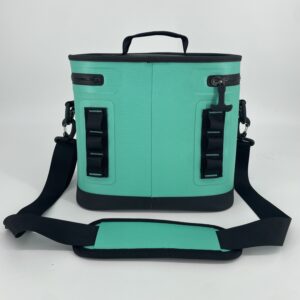 waterproof insulated leakproof softsided cooler bag 10l lunch cooler tote bag with shoulder strap and handle for camping picnic